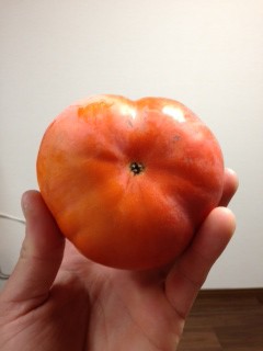 ハート型の次郎柿