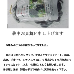 暑中見舞い