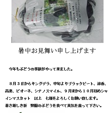 暑中見舞い